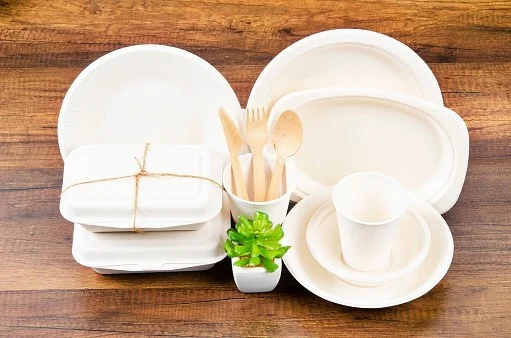 8 Eco-Friendly Bagasse Products for Your Home