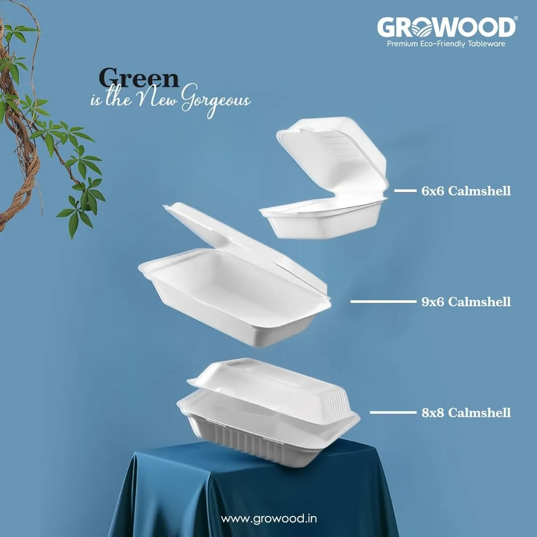 bagasse products