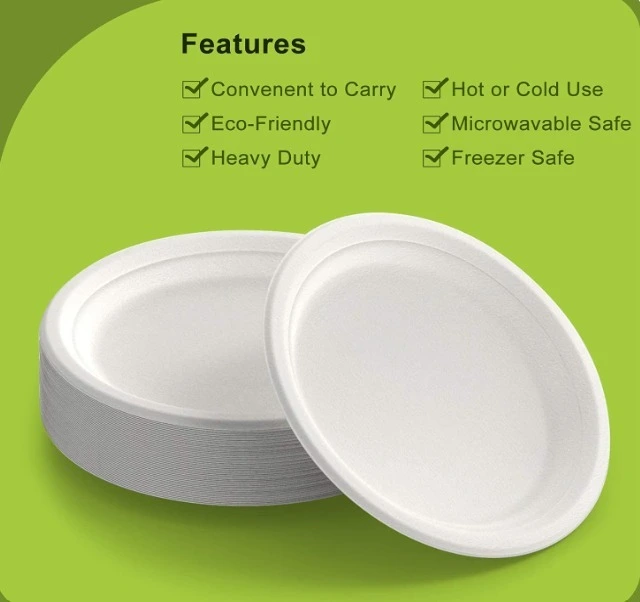 sugarcane bagasse products