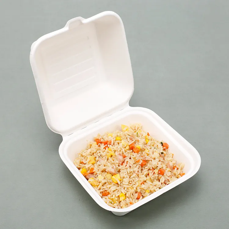 Why Dubai is Choosing Bagasse Clamshells for Takeaway Packaging