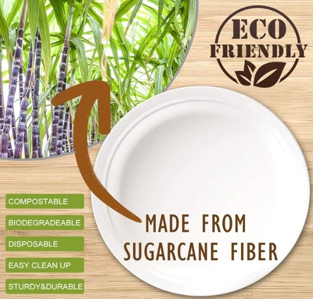 Sugarcane Bagasse Products