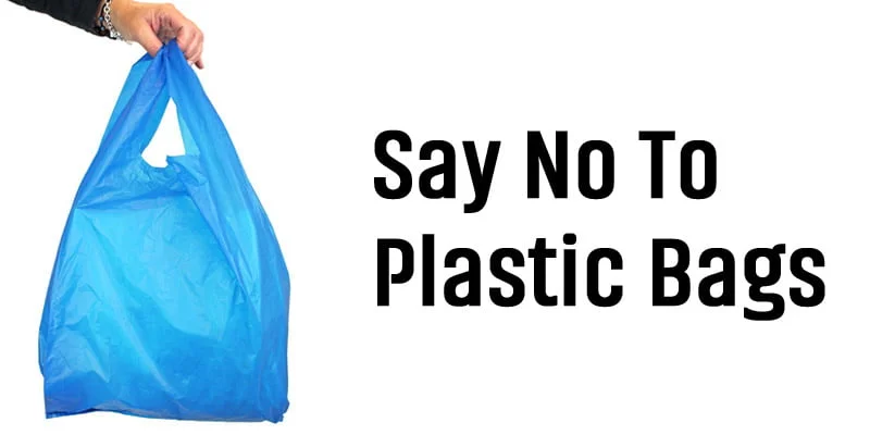 The Case Against Plastic Bags