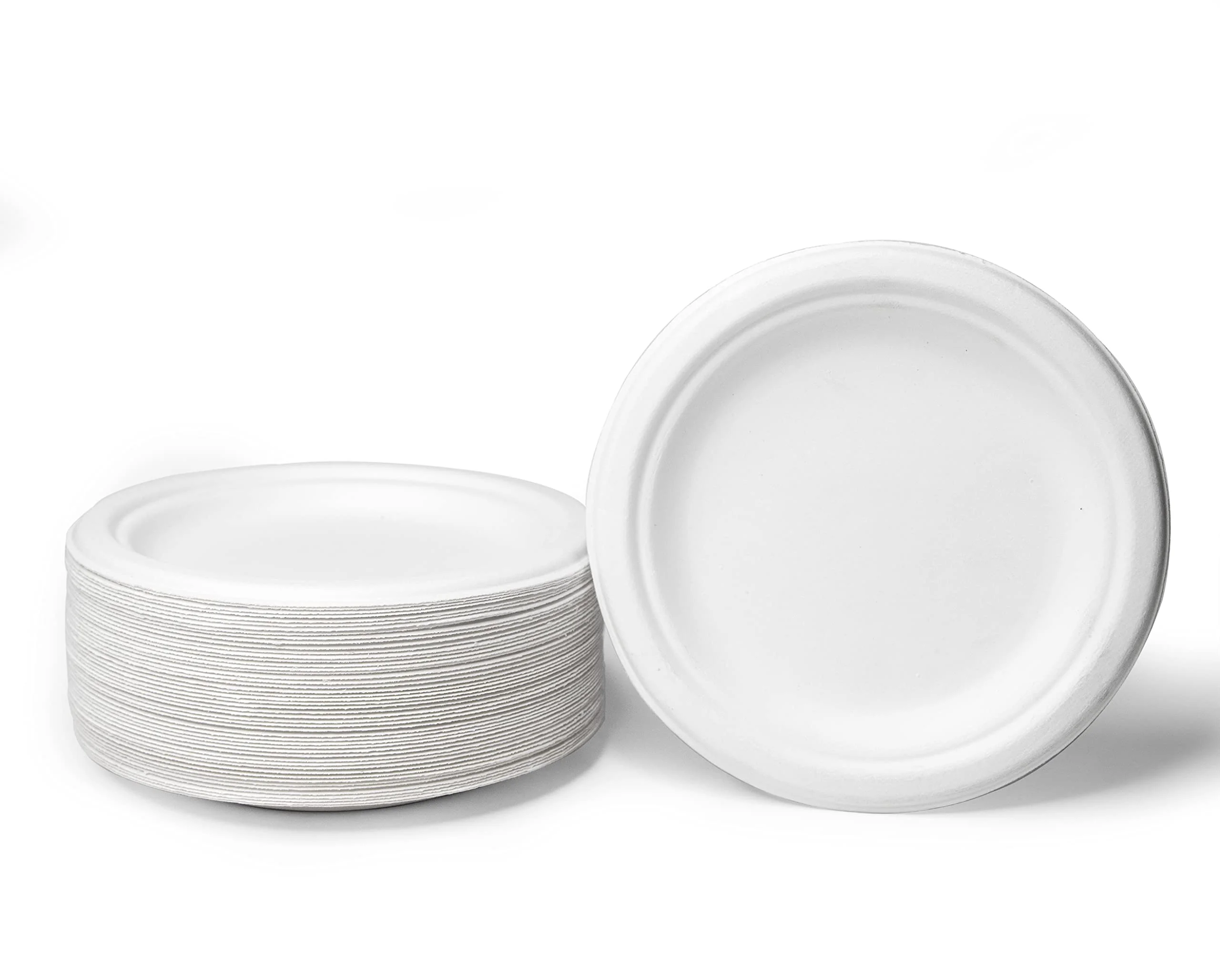 Key Benefits of Bagasse Disposable Plates