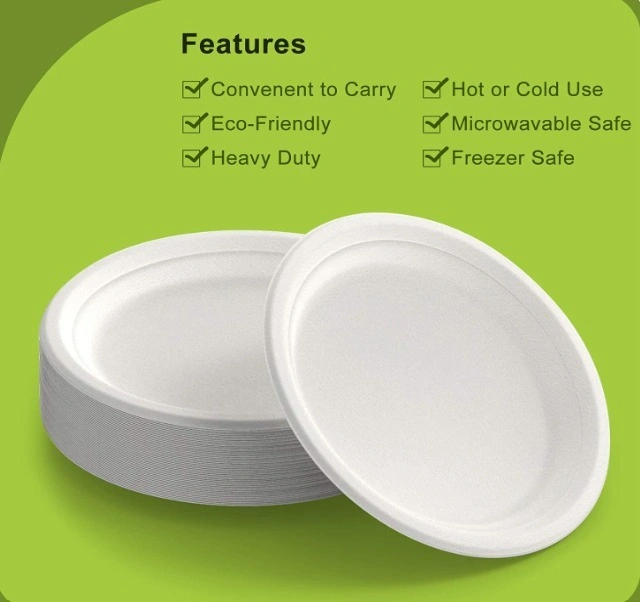 bagasse products Benefits