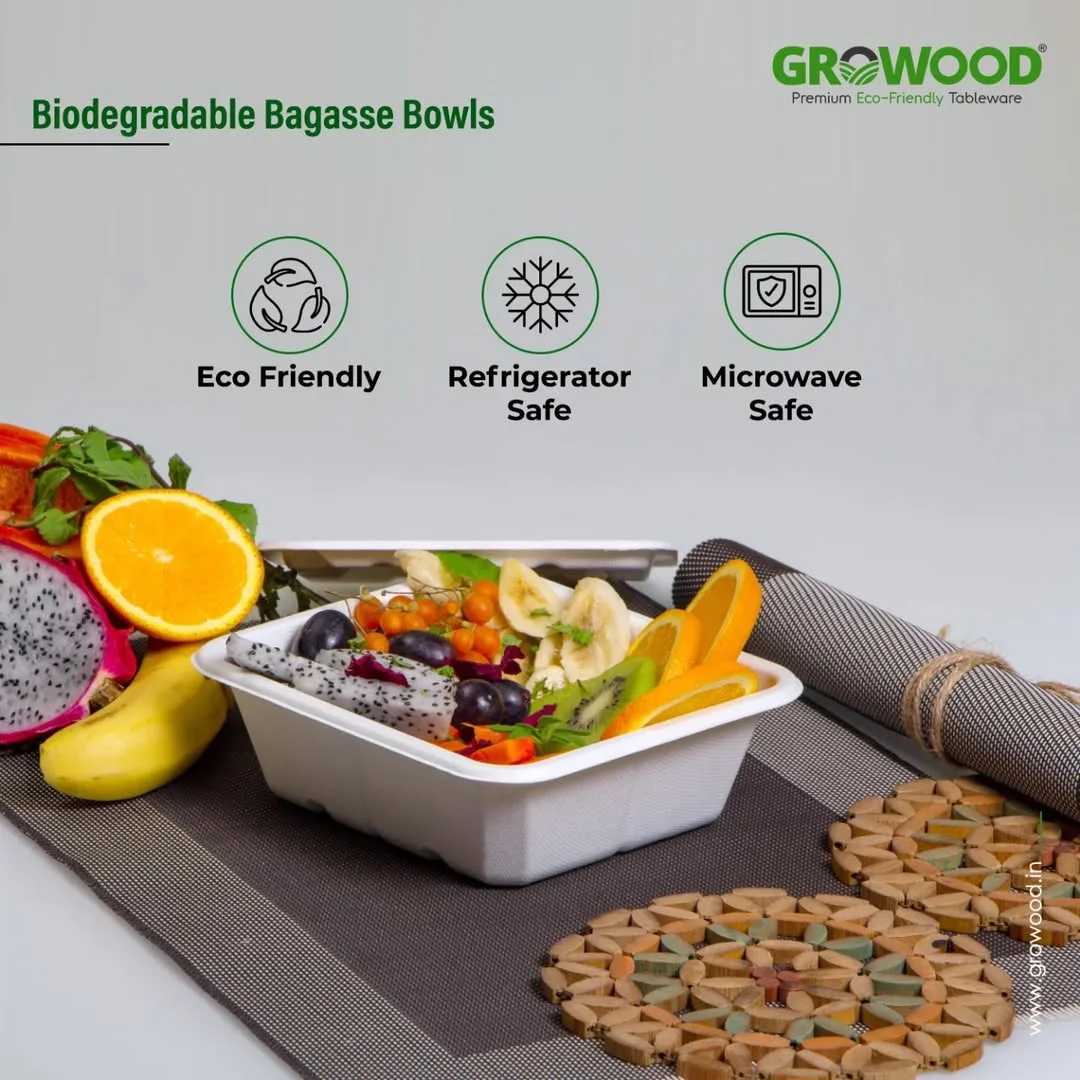 Key Benefits of Bagasse-Based Packaging