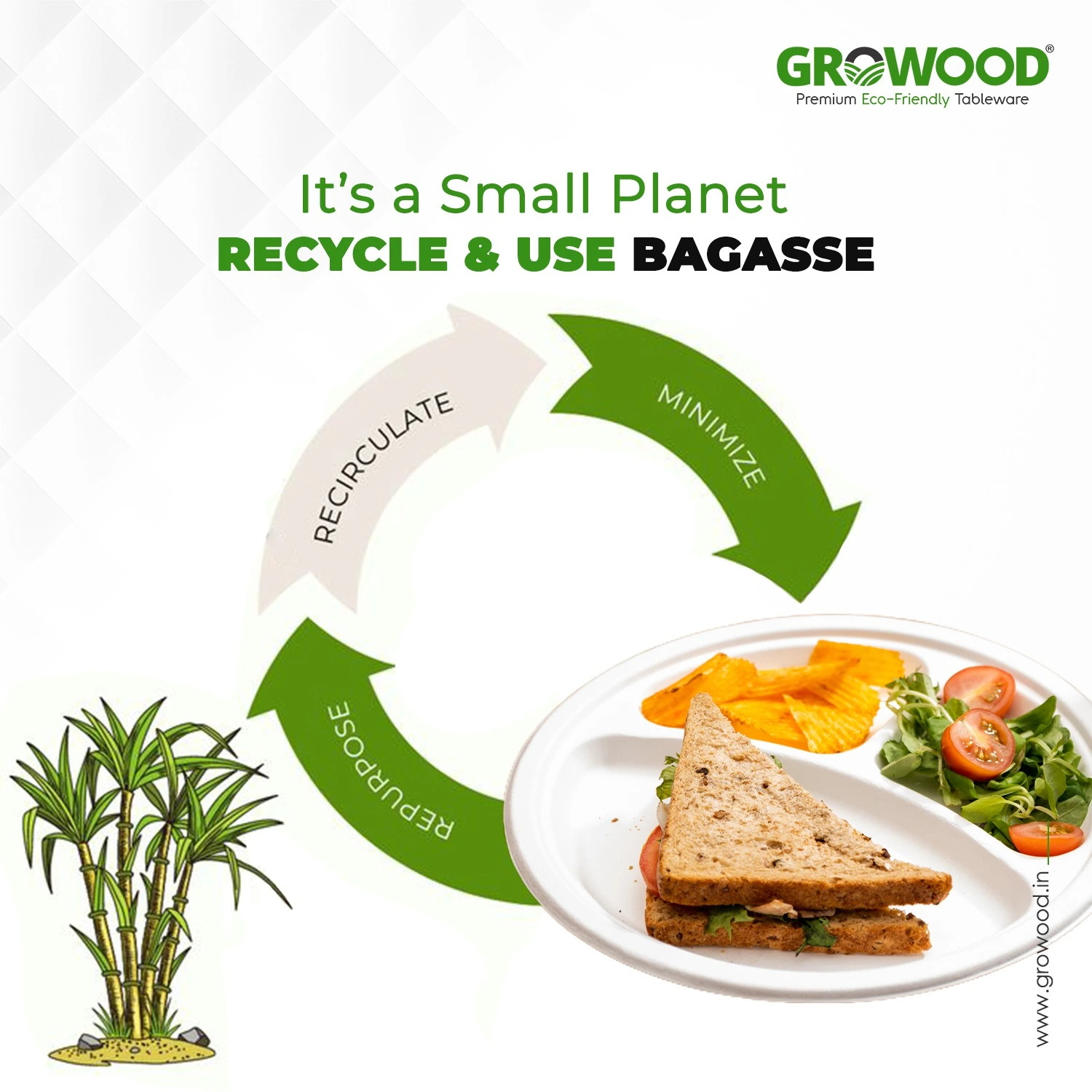 What is Bagasse