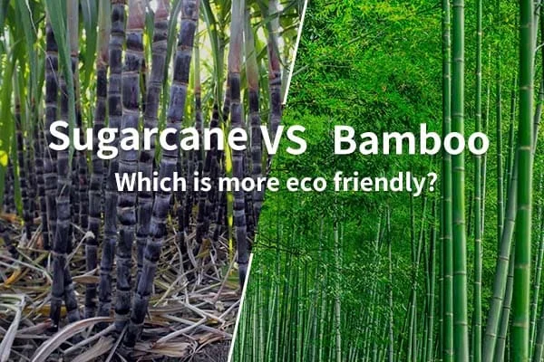 Why Choose Bagasse Over Bamboo for Your Eco-Friendly Products