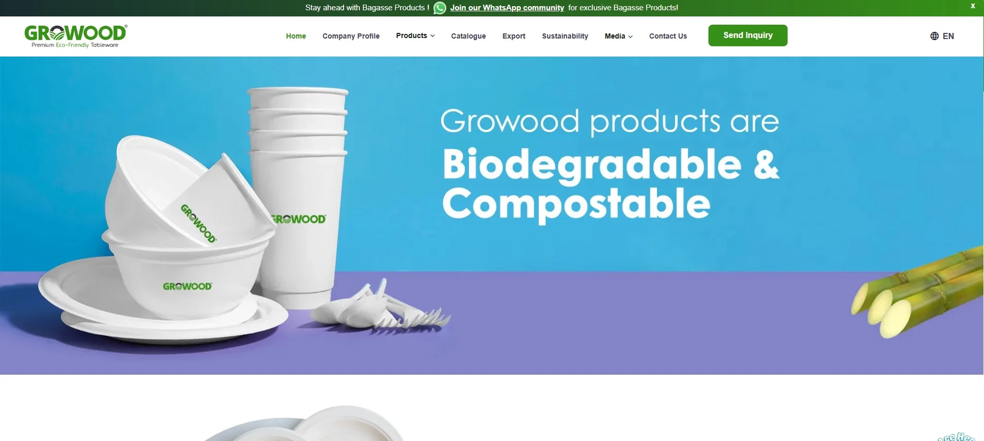 Growood: Leading the Way in Sustainable Bagasse Products