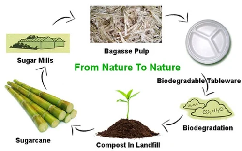 Biodegradability & Compostability