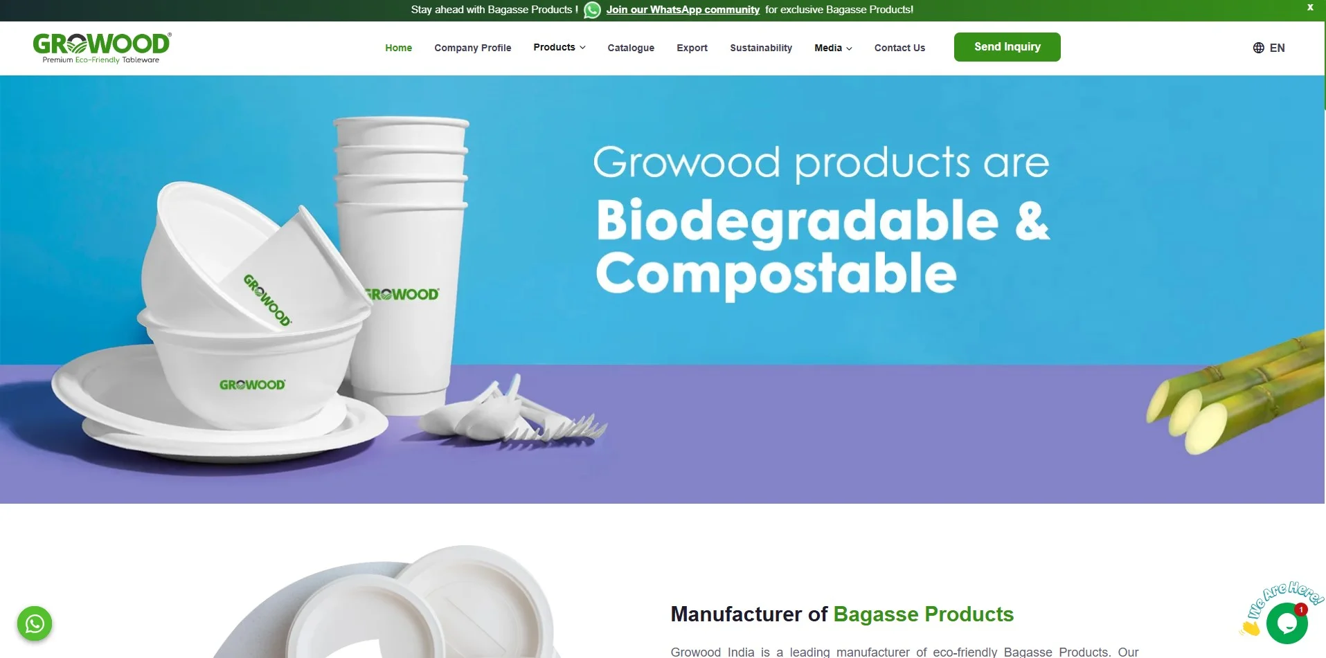 Where to Buy Quality Bagasse Products?