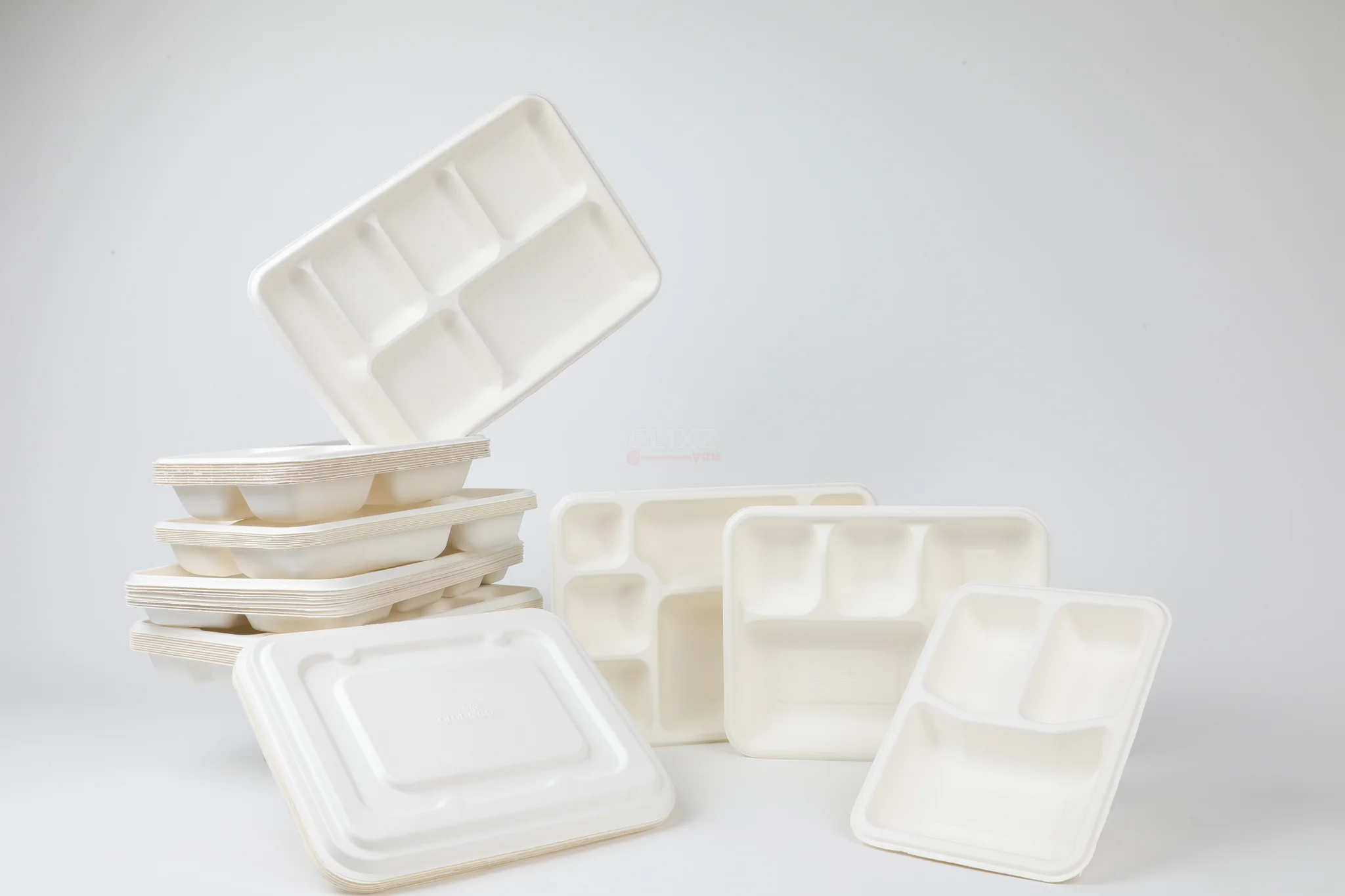 Bagasse Trays: A Global Surge in Demand
