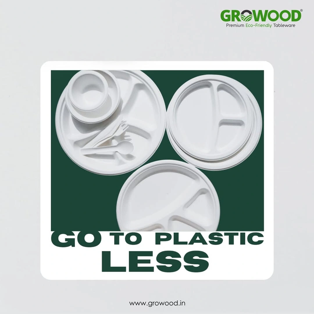 Disposable Bagasse Compartment Plate 