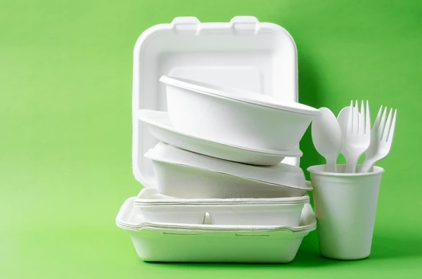 What is Bagasse?