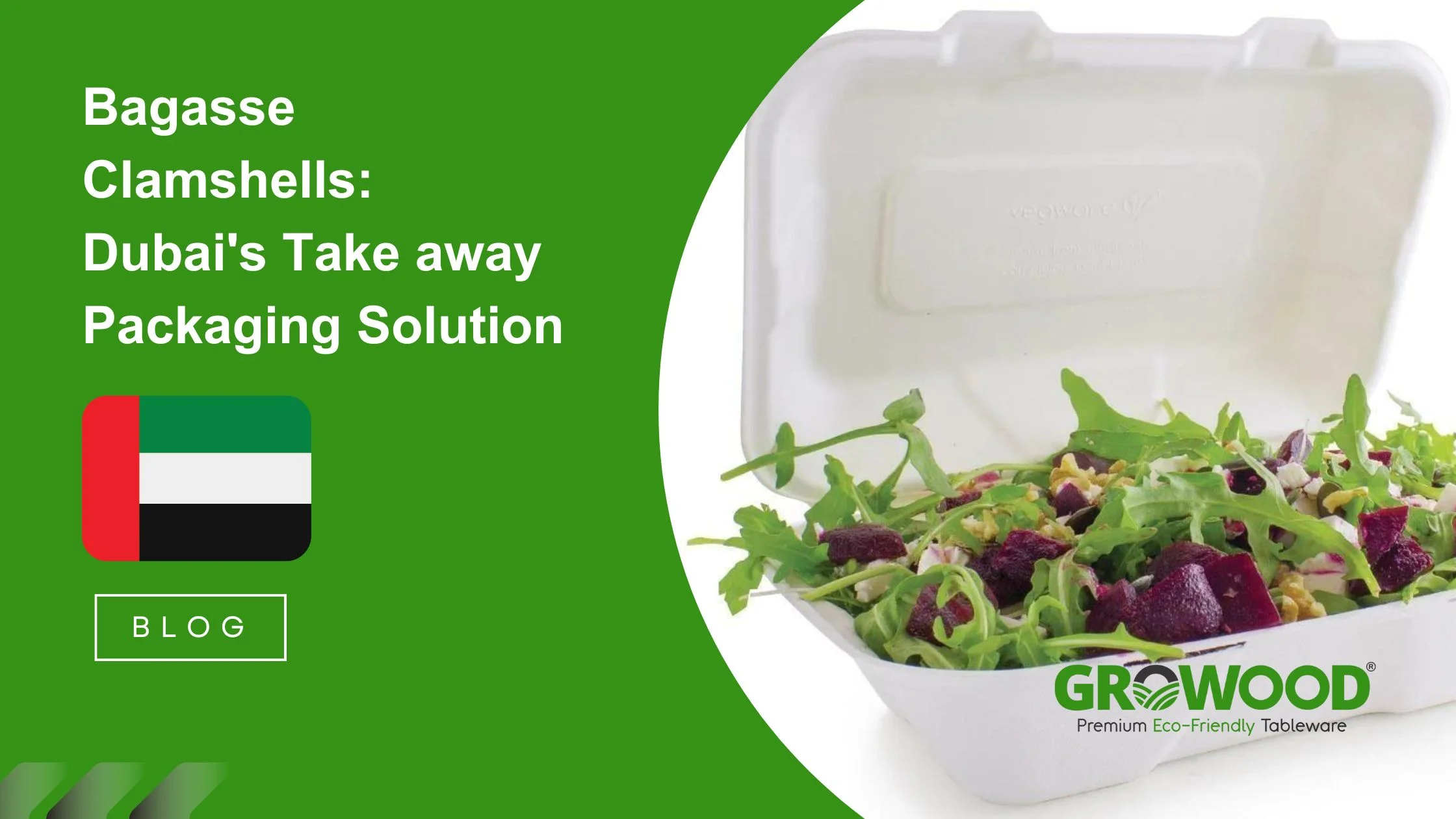 Bagasse Clamshells: Dubai Take Away Packaging Solution