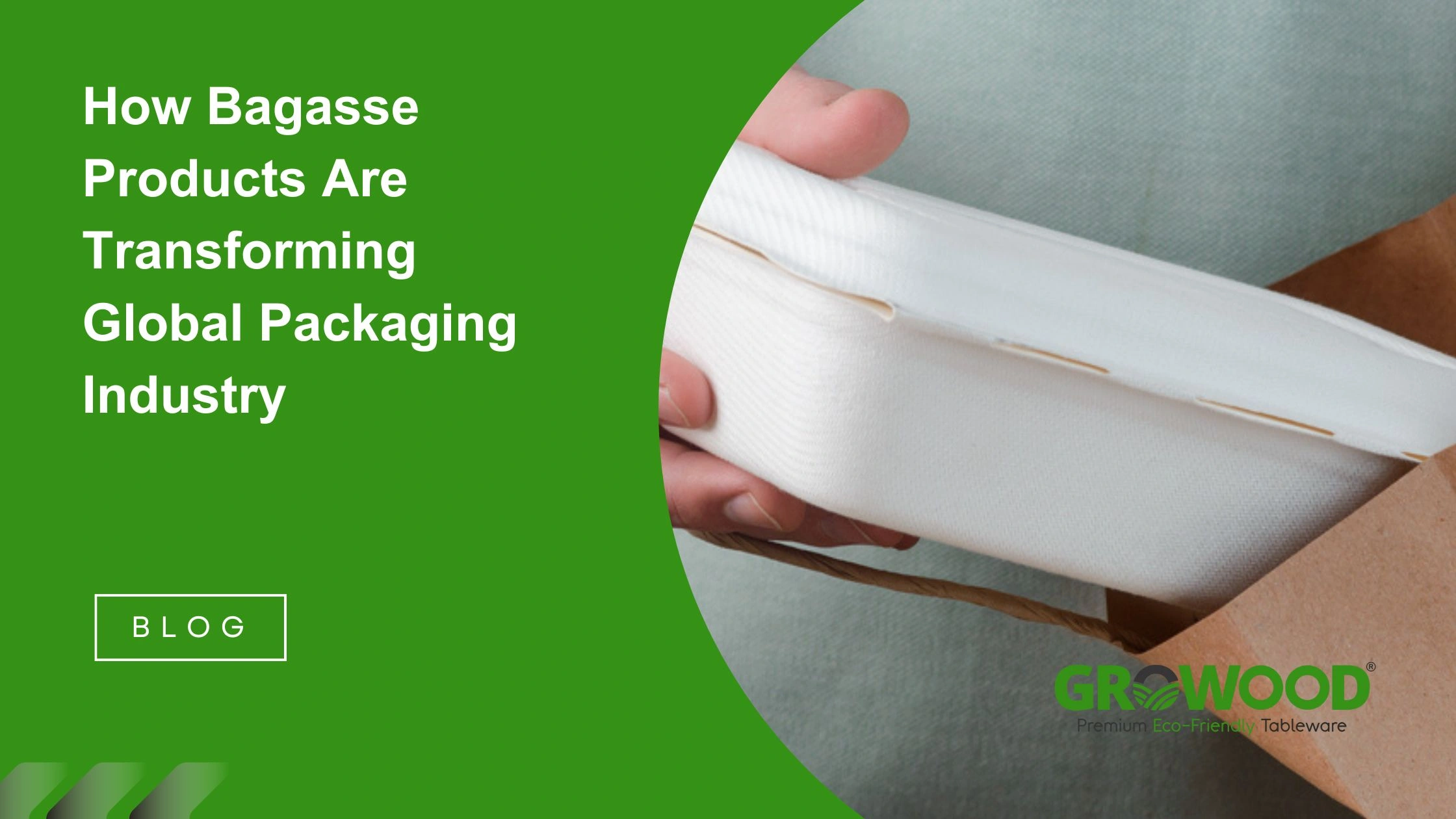 How Bagasse Products Are Transforming Global Packaging Industry