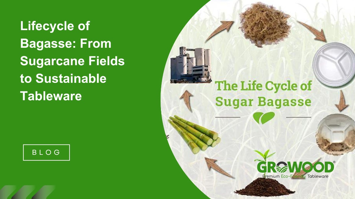 Lifecycle Of Bagasse: From Sugarcane Fields To Sustainable Tableware