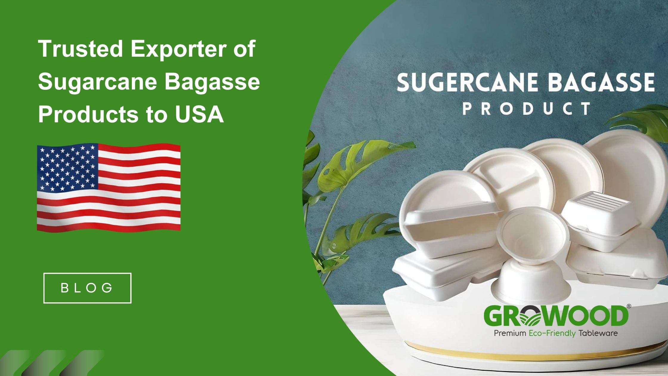 Trusted Exporter Of Sugarcane Bagasse Products To USA