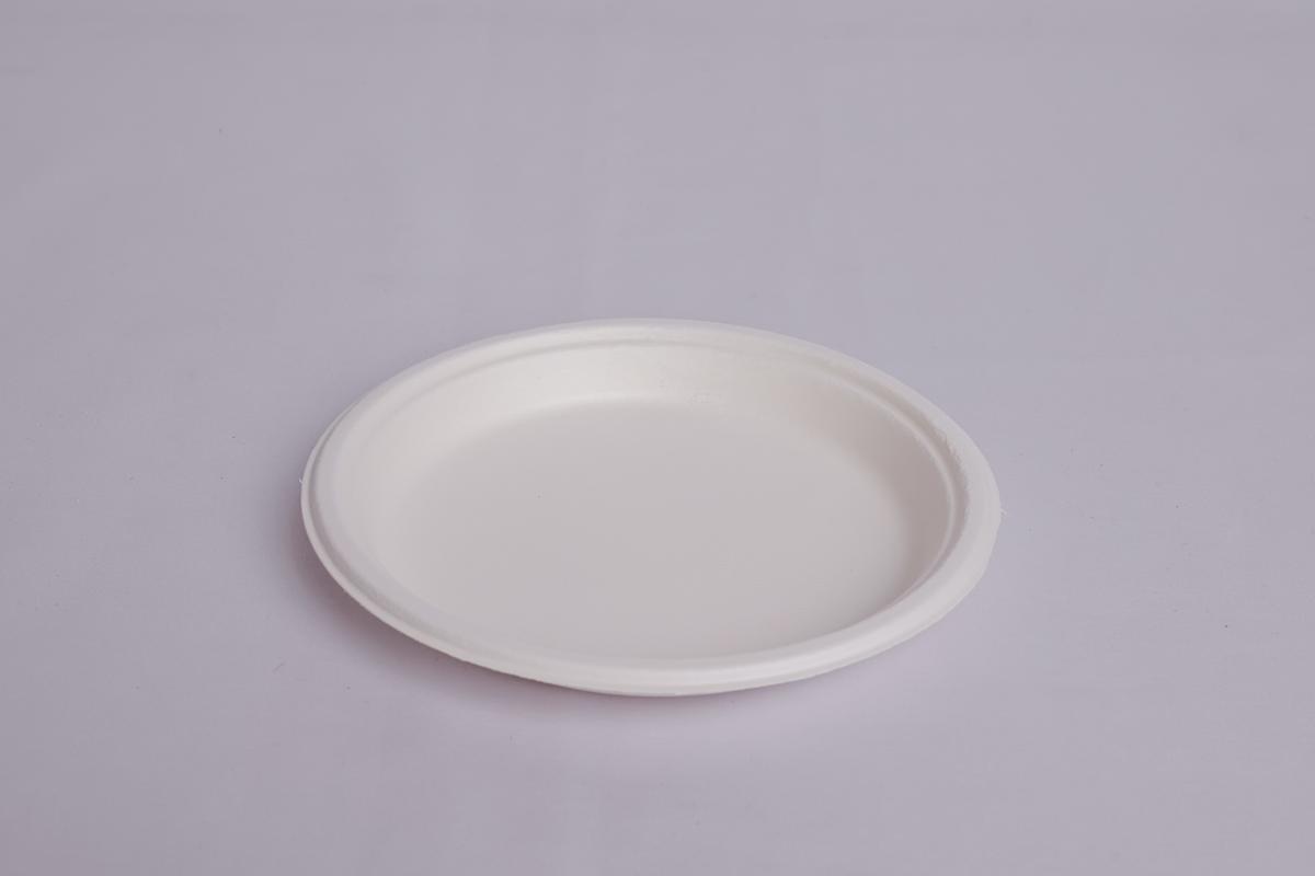 9 Inch Round Plate