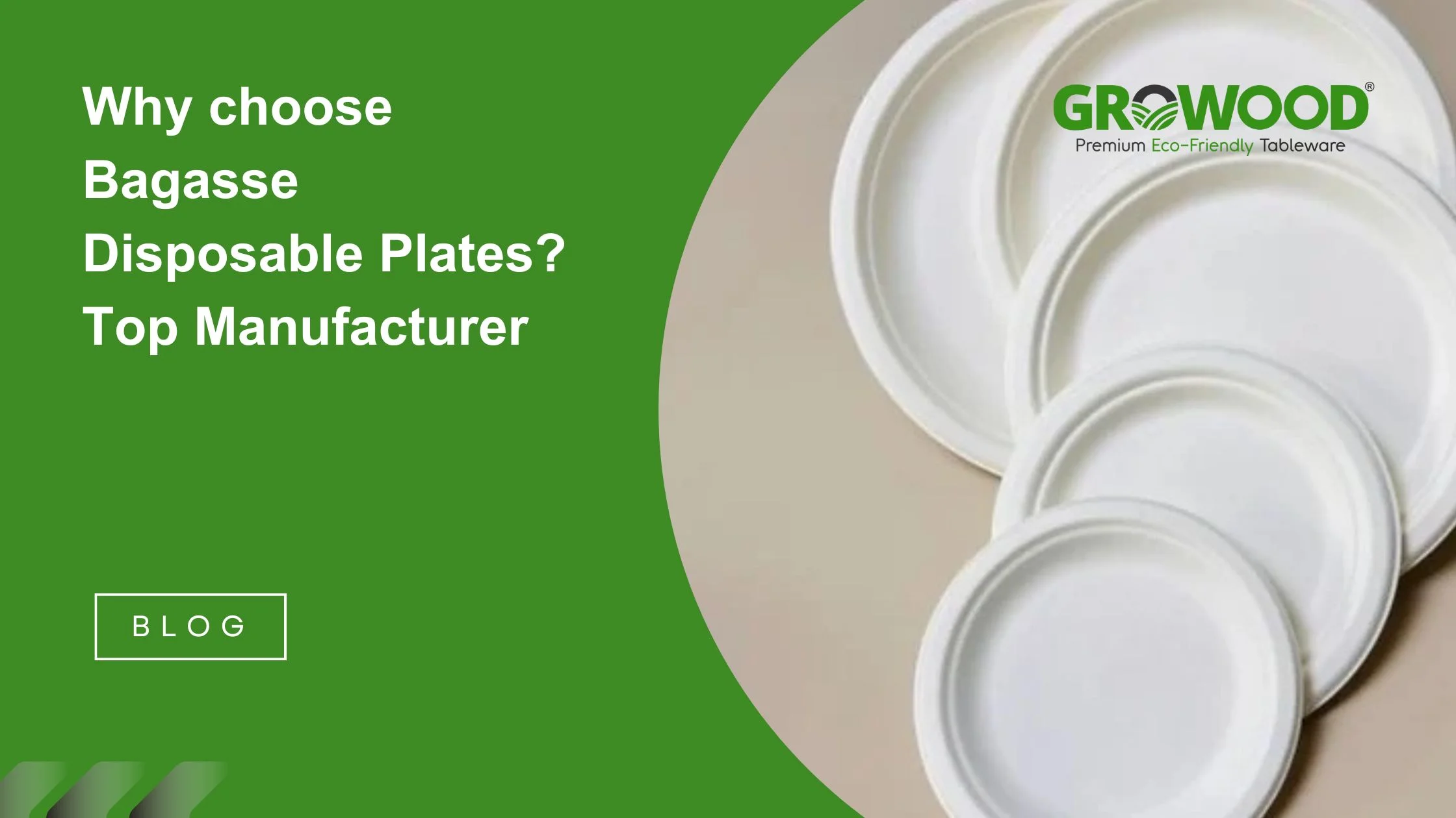 Why Choose Bagasse Disposable Plates? | Top Manufacturer