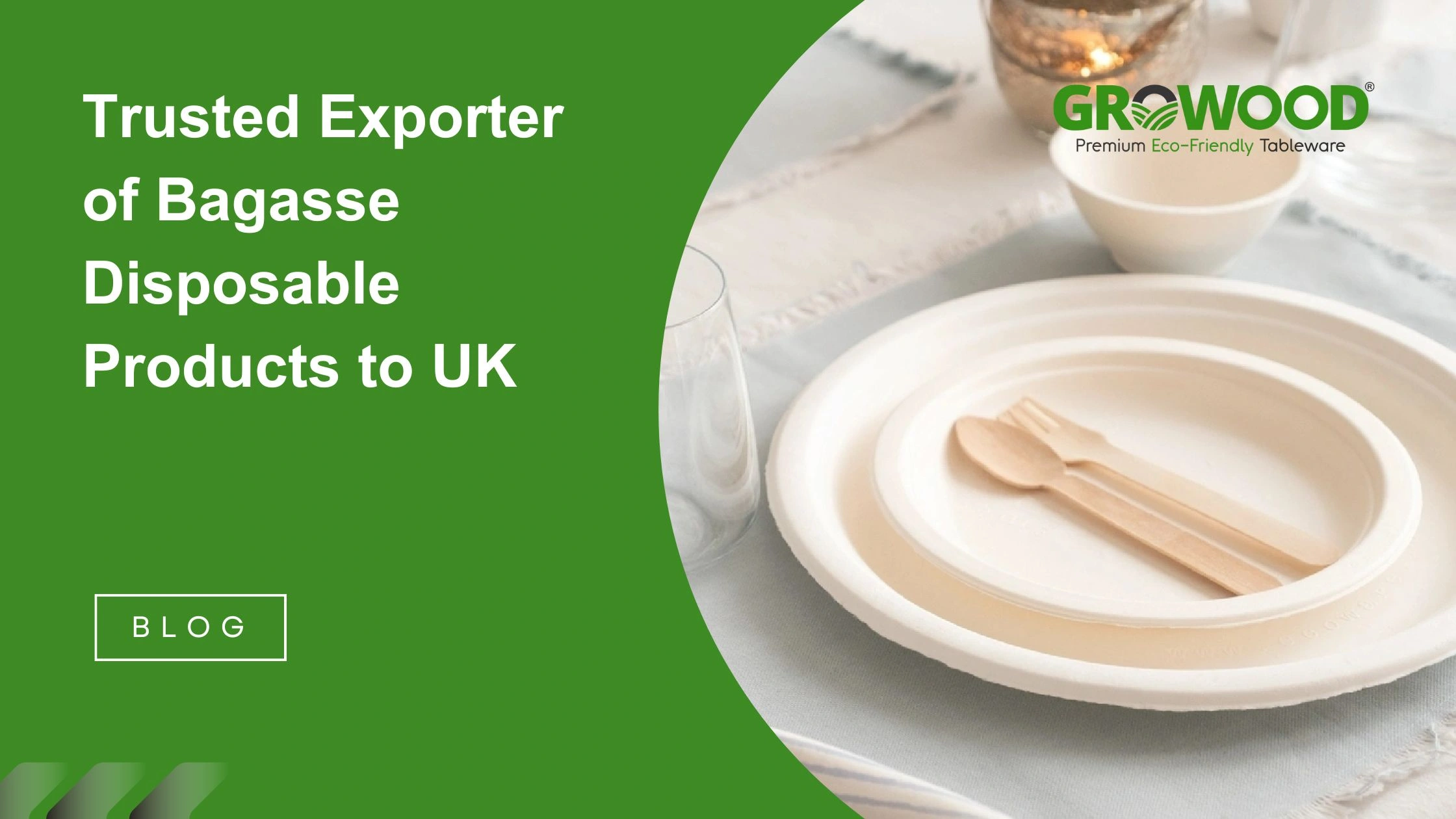 Trusted Exporter Of Bagasse Disposable Products To UK