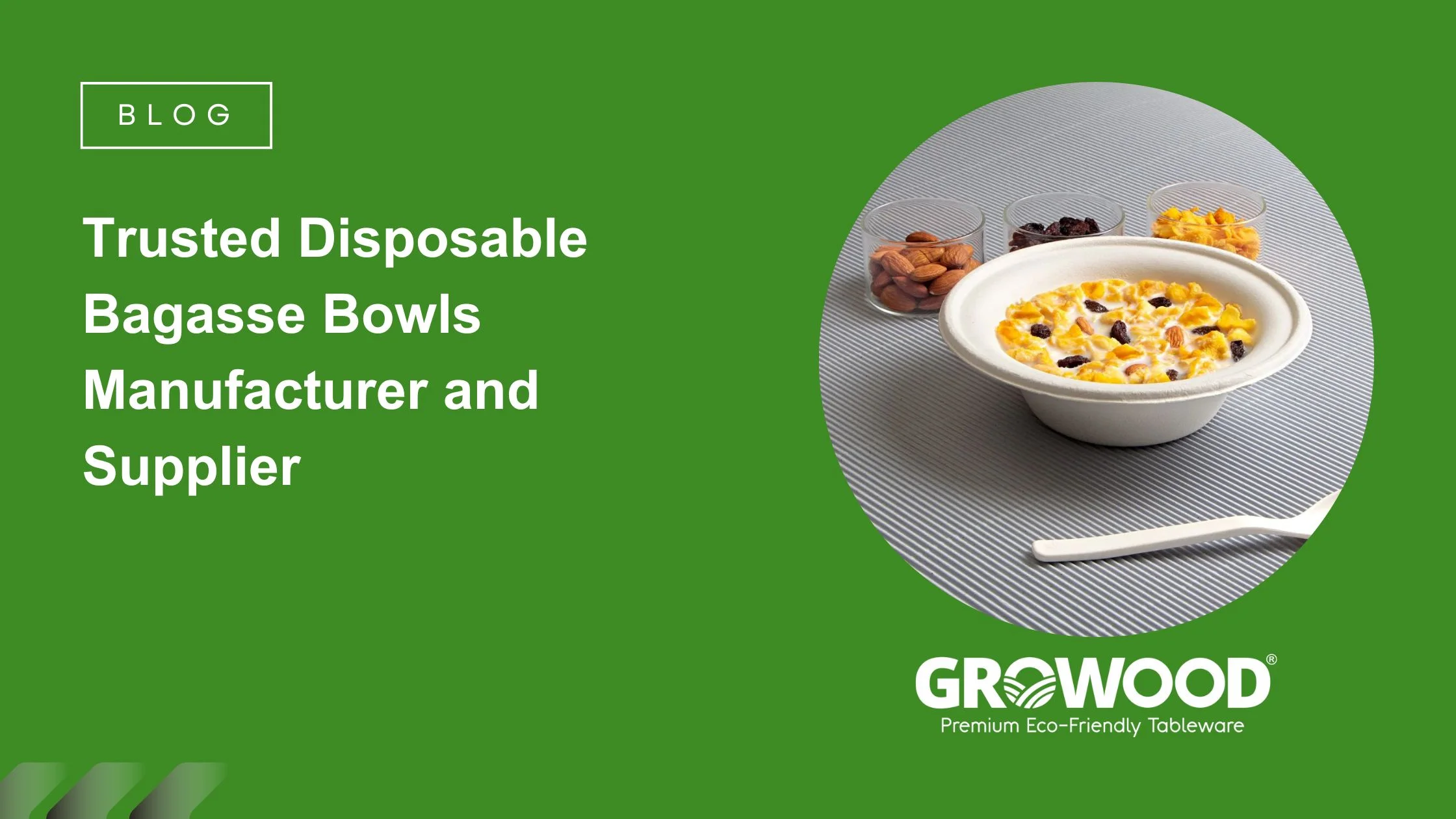 Trusted Disposable Bagasse Bowls Manufacturer And Supplier